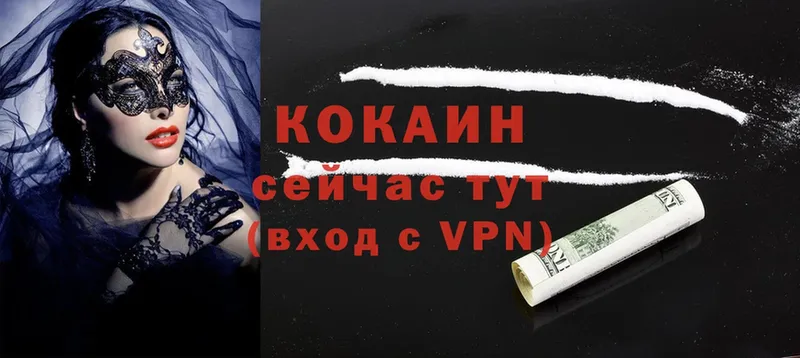 COCAIN Эквадор Гатчина