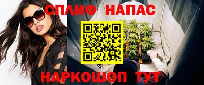 тгк Бийск