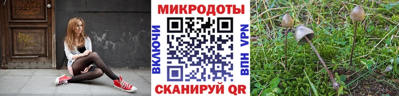 Псилоцибиновые грибы ЛСД  Гатчина 