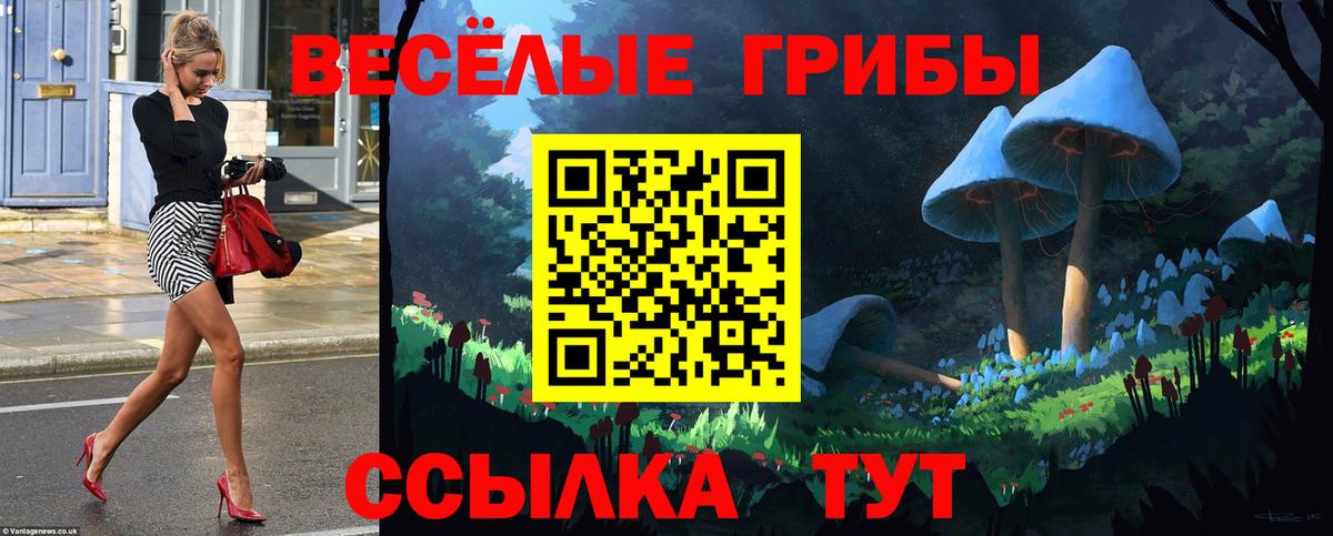 Псилоцибиновые грибы мухоморы  Гатчина 