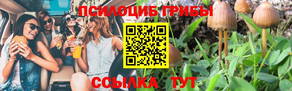 Галлюциногенные грибы Cubensis Гатчина